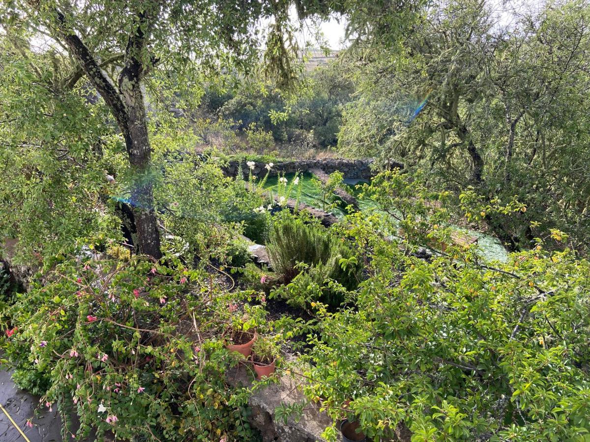 Las Rosas  Casas Rurales Tio Antonio מראה חיצוני תמונה