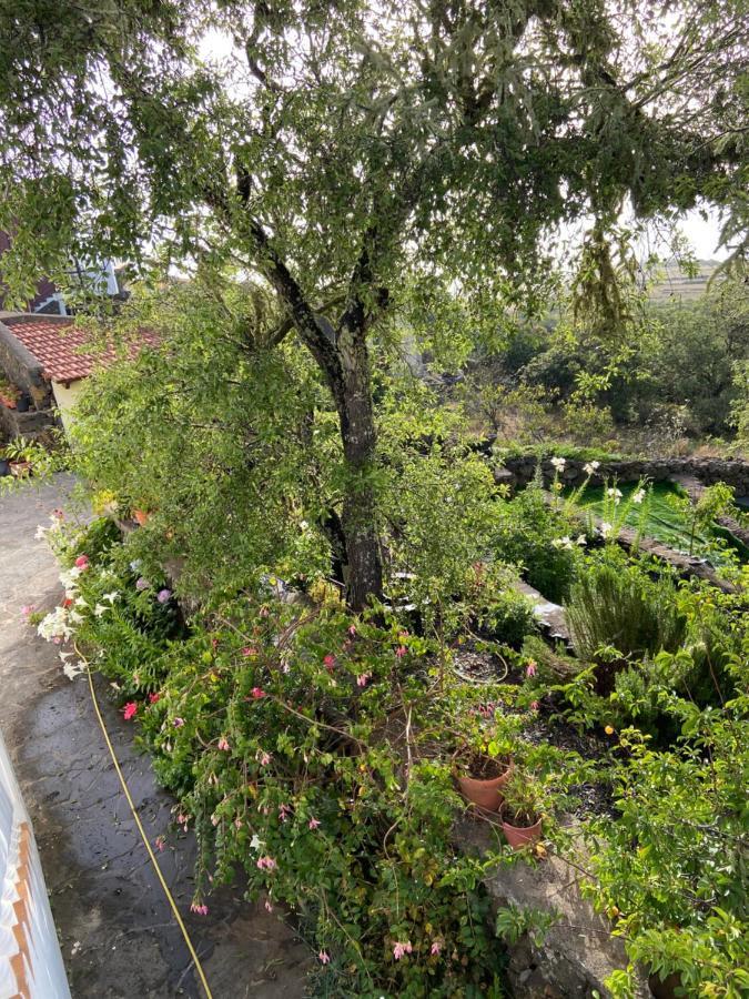 Las Rosas  Casas Rurales Tio Antonio מראה חיצוני תמונה