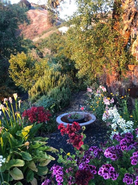 Las Rosas  Casas Rurales Tio Antonio מראה חיצוני תמונה